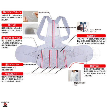 脊椎矯正腰帶