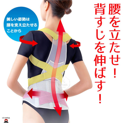醫學脊椎姿勢矯正腰帶
