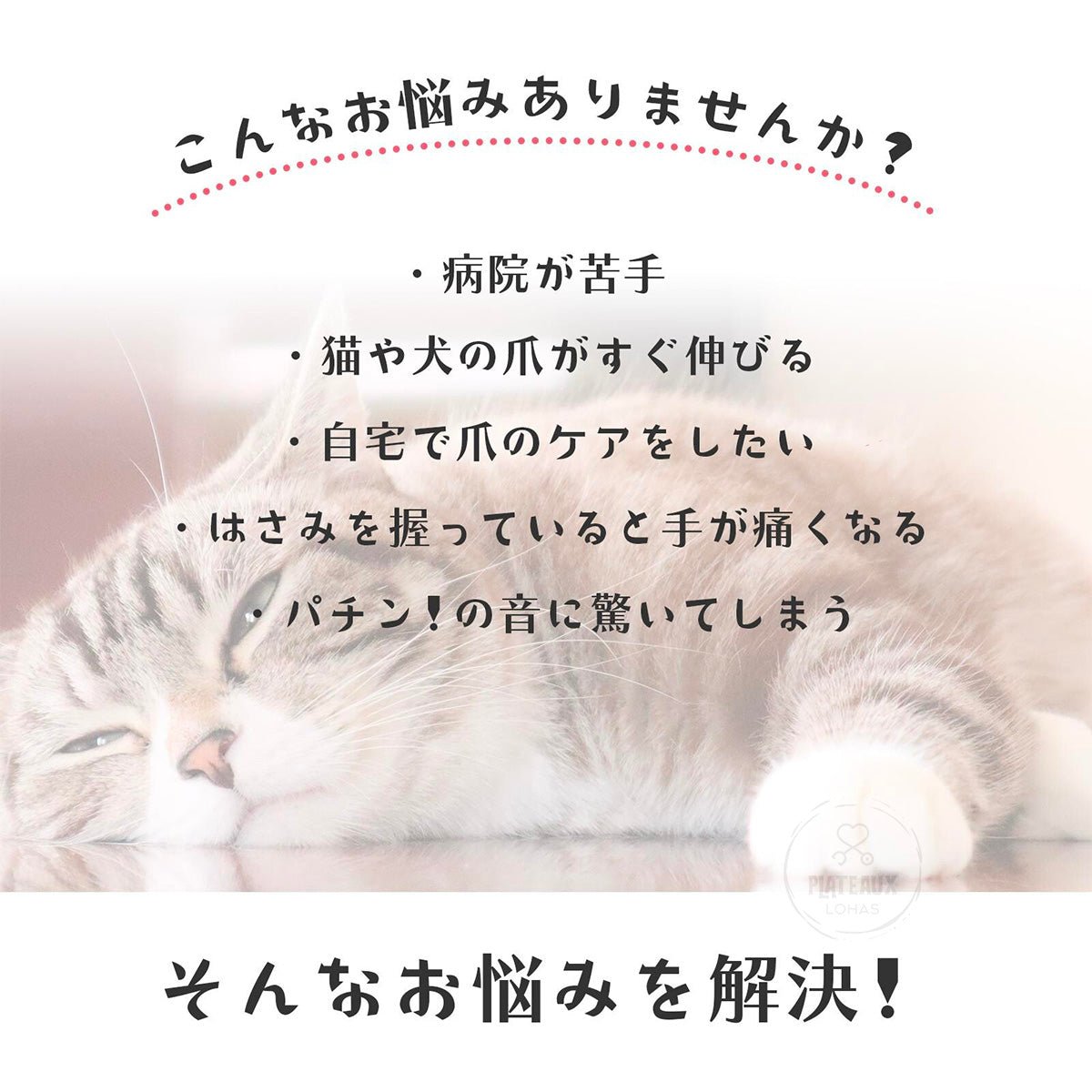 product_n寵物指甲鉗（附爪套）Pet nail clippers (with paw cap)寵物指甲鉗（附爪套）Pet nail clippers (with paw cap)寵物指甲鉗（附爪套）Pet nail clippers (with paw cap)寵物指甲鉗（附爪套）Pet nail clippers (with paw cap)寵物指甲鉗（附爪套）Pet nail clippers (with paw cap)ame - 東瀛本物 PLJ BY PLATEAUX