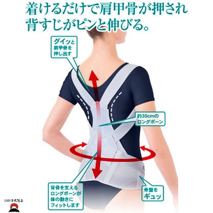 product_n日本製 醫學脊椎姿勢矯正腰帶日本製 醫學脊椎姿勢矯正腰帶日本製 醫學脊椎姿勢矯正腰帶日本製 醫學脊椎姿勢矯正腰帶日本製 醫學脊椎姿勢矯正腰帶ame - 東瀛本物 PLJ BY PLATEAUX